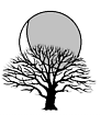 Tangled Moon Logo